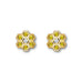 Flawless of Love Sparkle Earrings