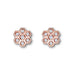 Flawless of Love Sparkle Earrings